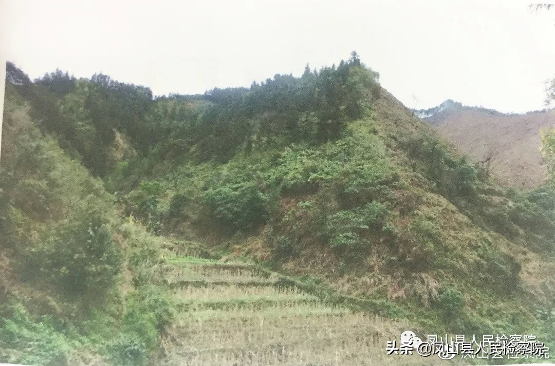 α�칤�̳а���ͬ թƭ500��Ԫ��������